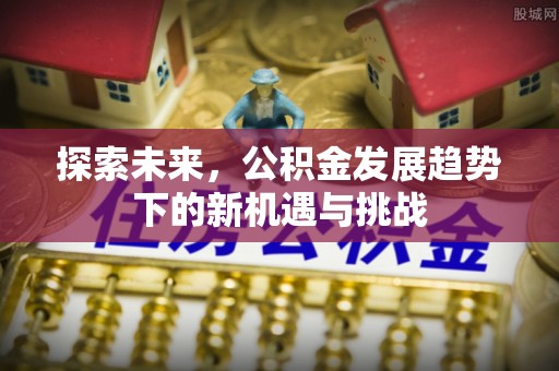 阜康探索未来，公积金发展趋势下的新机遇与挑战