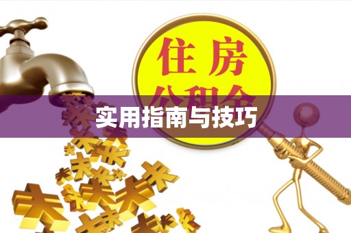 阜康实用指南与技巧