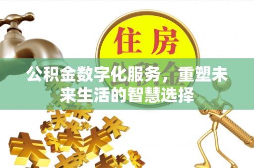 阜康公积金数字化服务，重塑未来生活的智慧选择