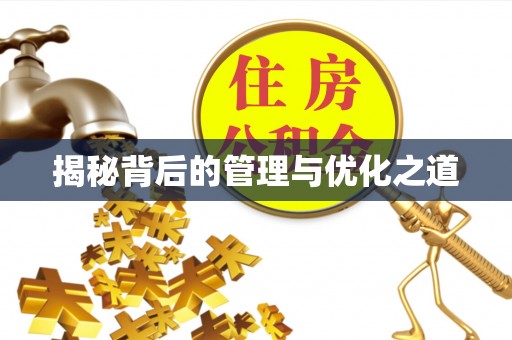 阜康揭秘背后的管理与优化之道