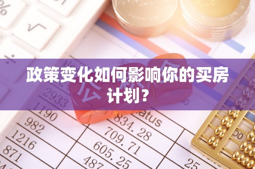阜康政策变化如何影响你的买房计划？