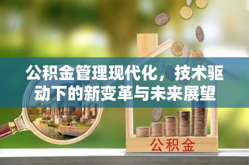 阜康公积金管理现代化，技术驱动下的新变革与未来展望