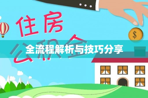 阜康全流程解析与技巧分享